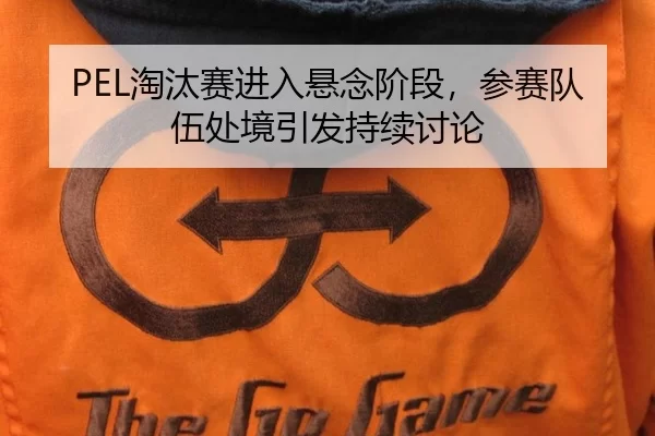 PEL淘汰赛进入悬念阶段，参赛队伍处境引发持续讨论